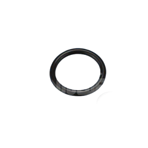 22mm O’Ring for Omnipure Q Series