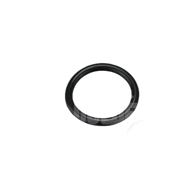 22mm O'Ring for Omnipure Q series
