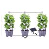 3 Tower Hydroponic Vertical Garden