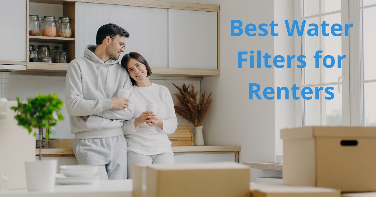 You are currently viewing Best Water Filters for Renters: Finding Your Perfect Fit!