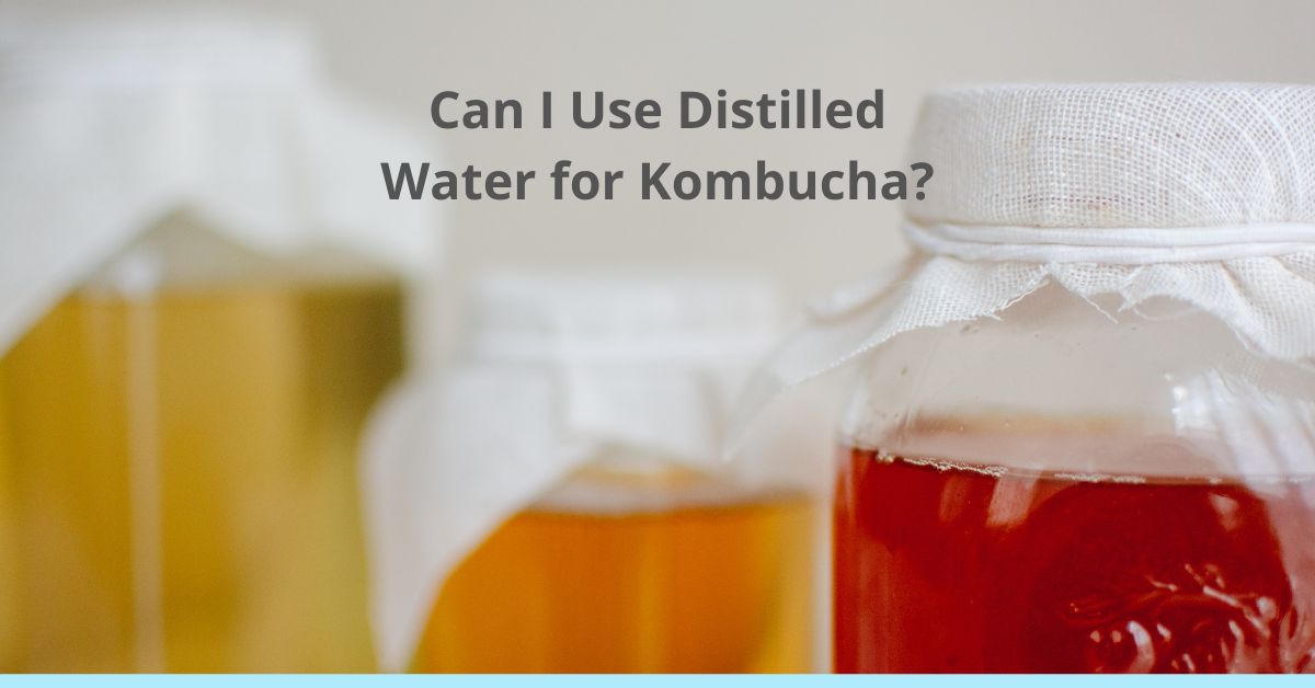 Read more about the article Can I Use Distilled Water for Kombucha?