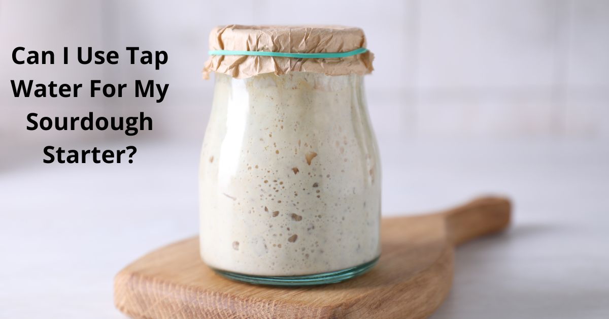 Read more about the article Can I Use Tap Water For My Sourdough Starter?