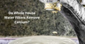 Read more about the article Do Whole House Water Filters Remove Calcium?