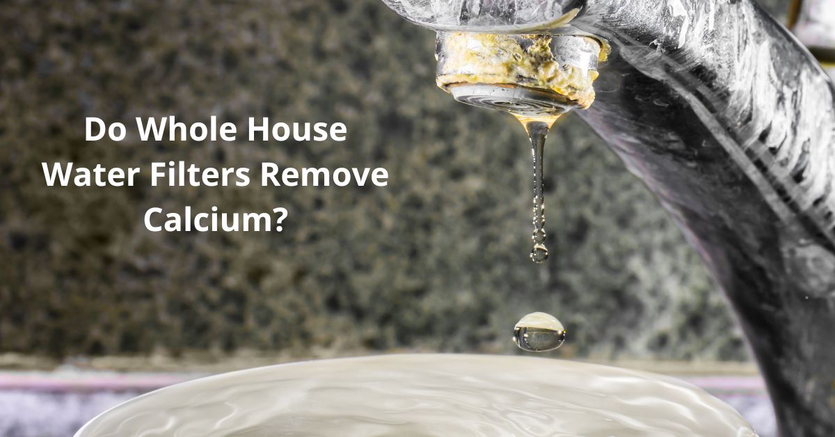 You are currently viewing Do Whole House Water Filters Remove Calcium?