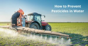 Read more about the article How to Prevent Pesticides in Water