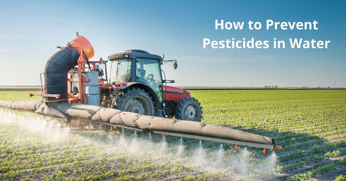 Read more about the article How to Prevent Pesticides in Water