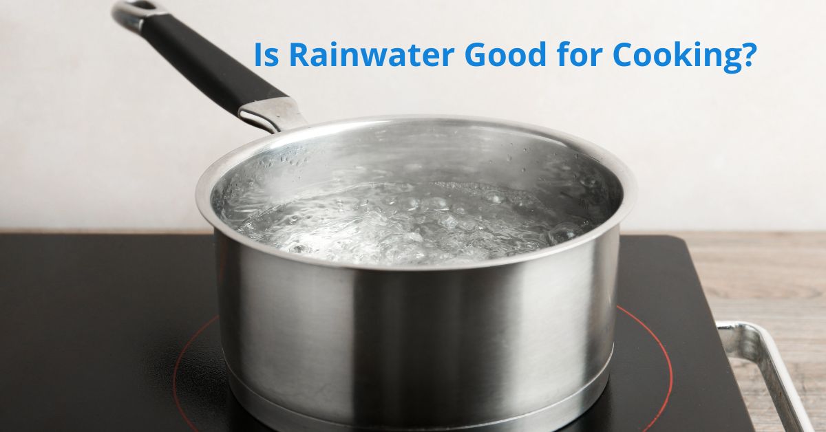 You are currently viewing Is Rainwater Good for Cooking?