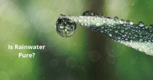Read more about the article Is Rainwater Pure?
