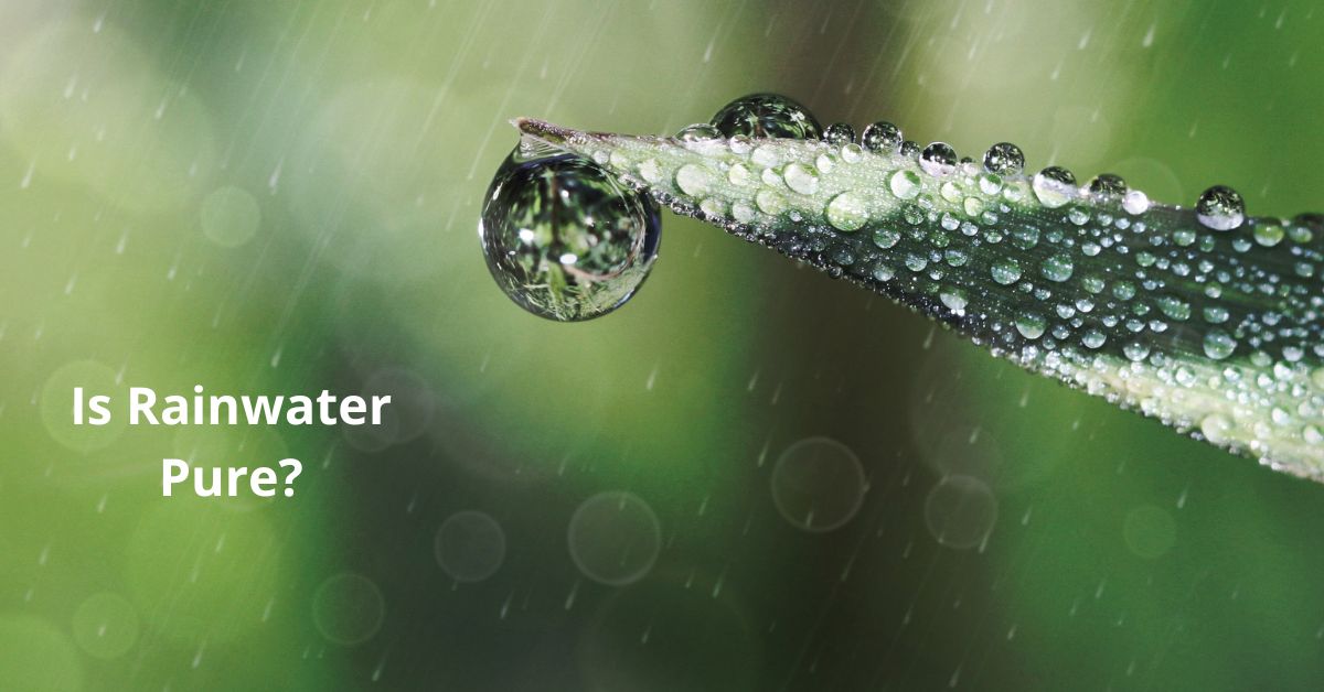 You are currently viewing Is Rainwater Pure?
