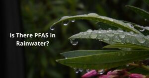 Read more about the article Is There PFAS in Rainwater?