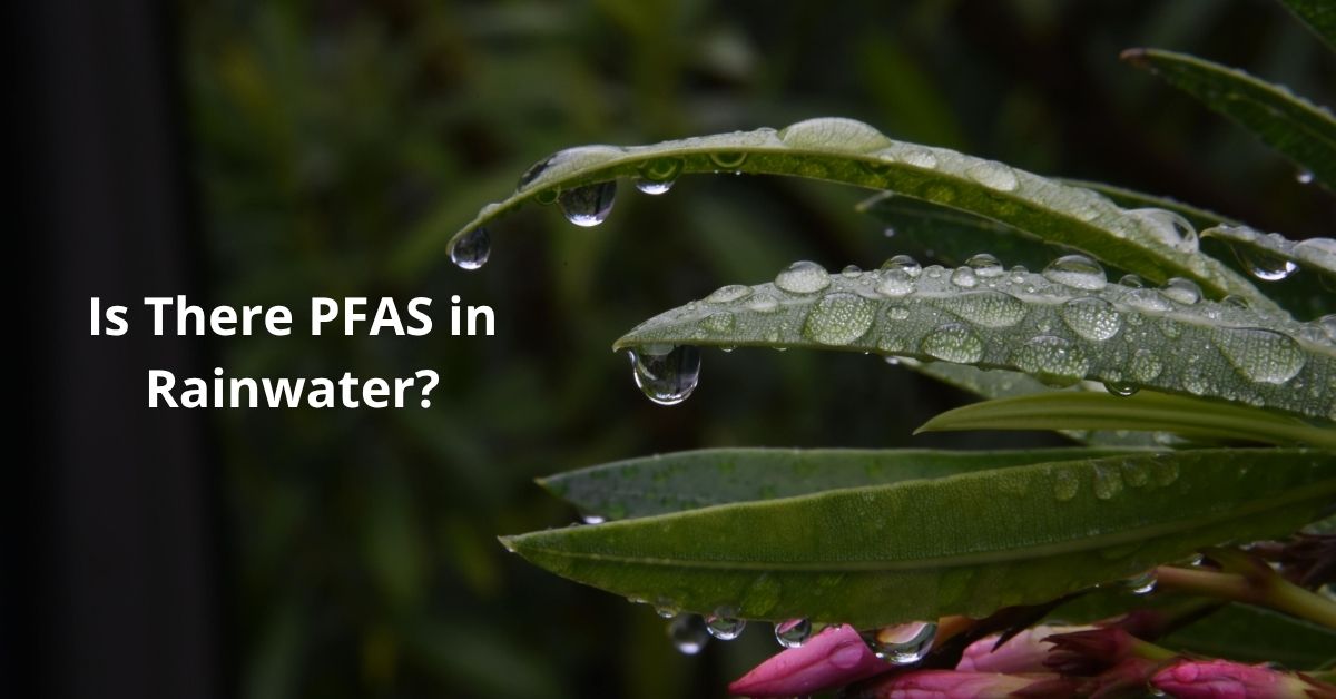 You are currently viewing Is There PFAS in Rainwater?