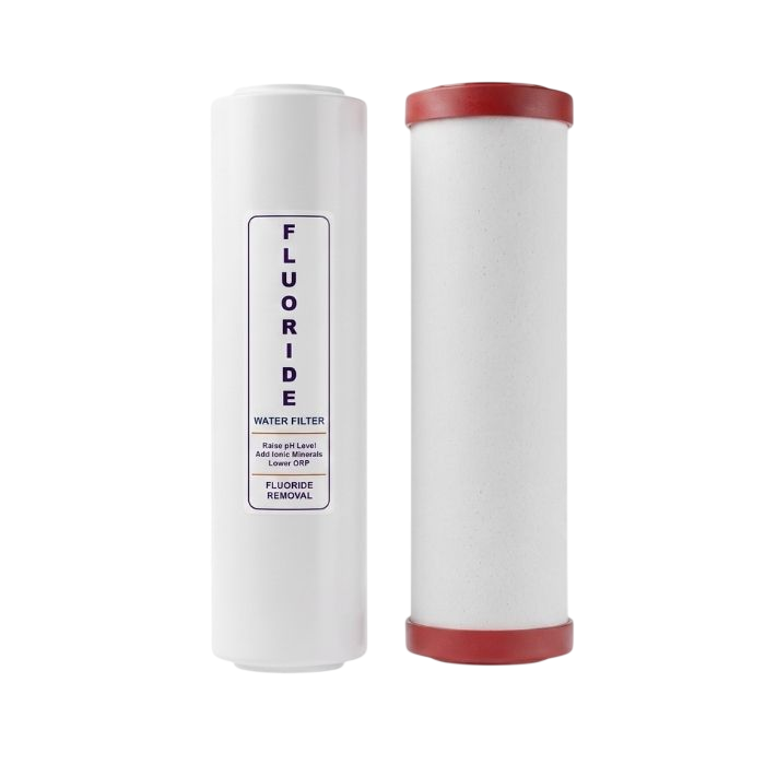Omnipure Fluoride and CTO Max Replacement Filter Set