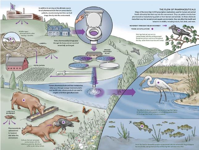 Pharmaceuticals found in Drinking Water