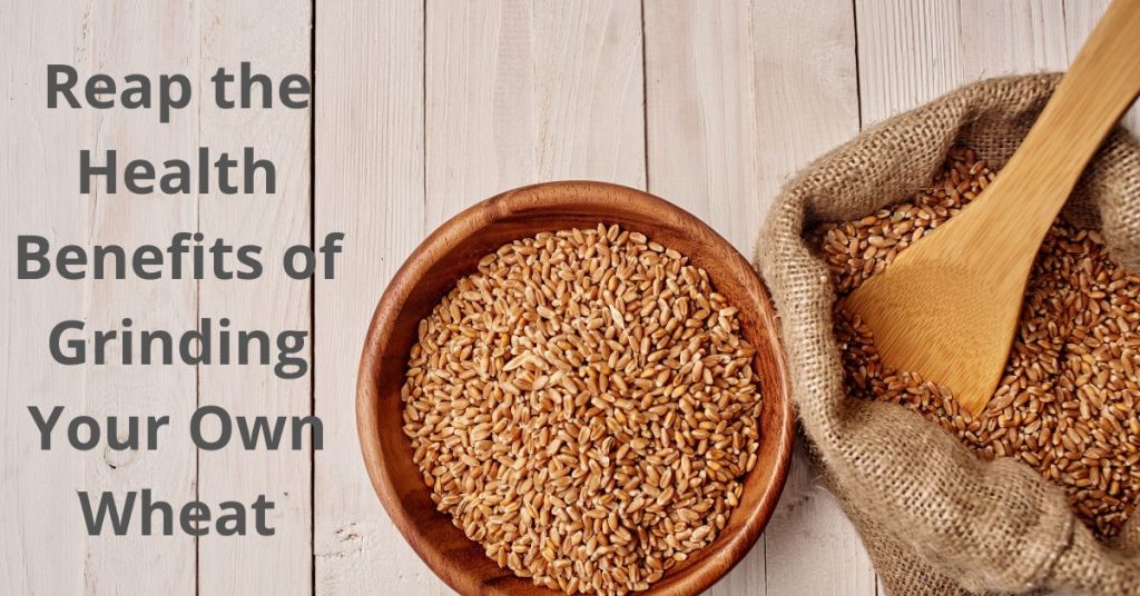 Reap the Health Benefits of Grinding Your Own Wheat Living Whole