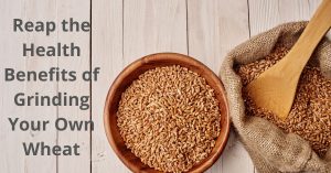Read more about the article Reap the Health Benefits of Grinding Your Own Wheat