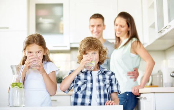 Water filter that removes fluoride