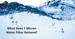 Read more about the article What Does 1 Micron Water Filter Remove