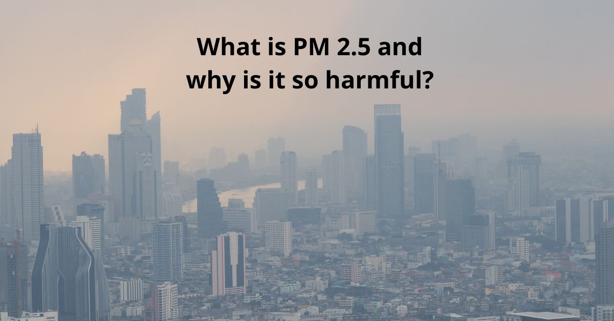 You are currently viewing What is PM 2.5 and why is it so harmful?