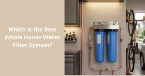 Read more about the article Which is the Best Whole House Water Filter System?