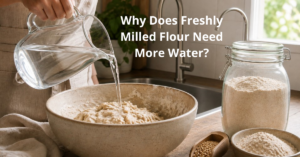 Read more about the article Why Does Freshly Milled Flour Need More Water?
