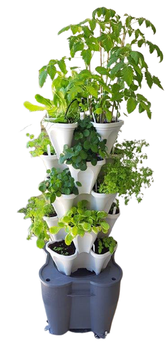 Hydroponic Vertical Garden