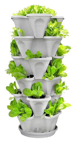 Vertical Herb Garden