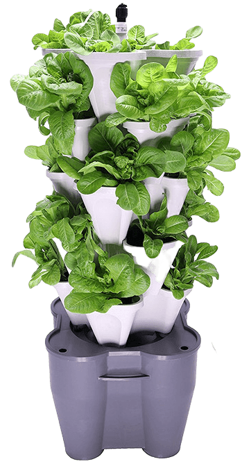 Vertical Hydroponic Garden