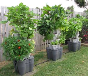 Example of a vertical vegetable garden