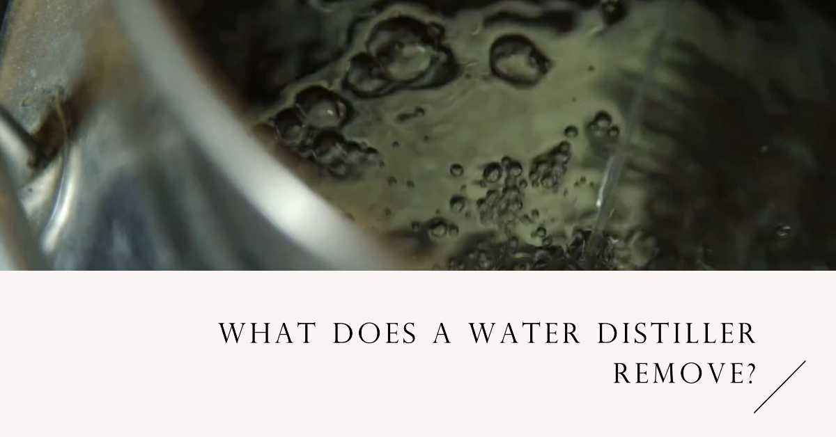 You are currently viewing What does a water distiller remove?