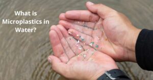 Read more about the article What is Microplastics in Water?